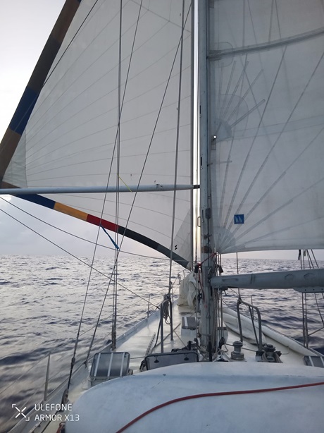 photo vente ACNAM - MAURIC&nbsp;33 EXPORT 