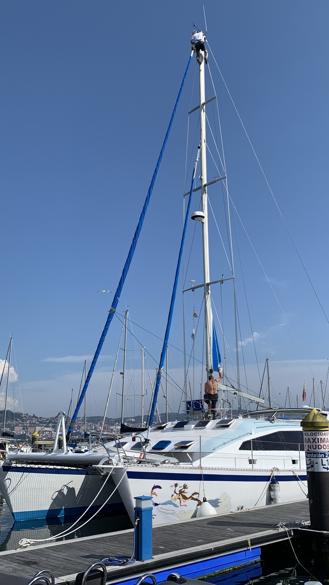 photo vente CATAMARAN-ALUMINIUM CATAMARAN-ALU-56-ONE-OFF-CAARENAL 