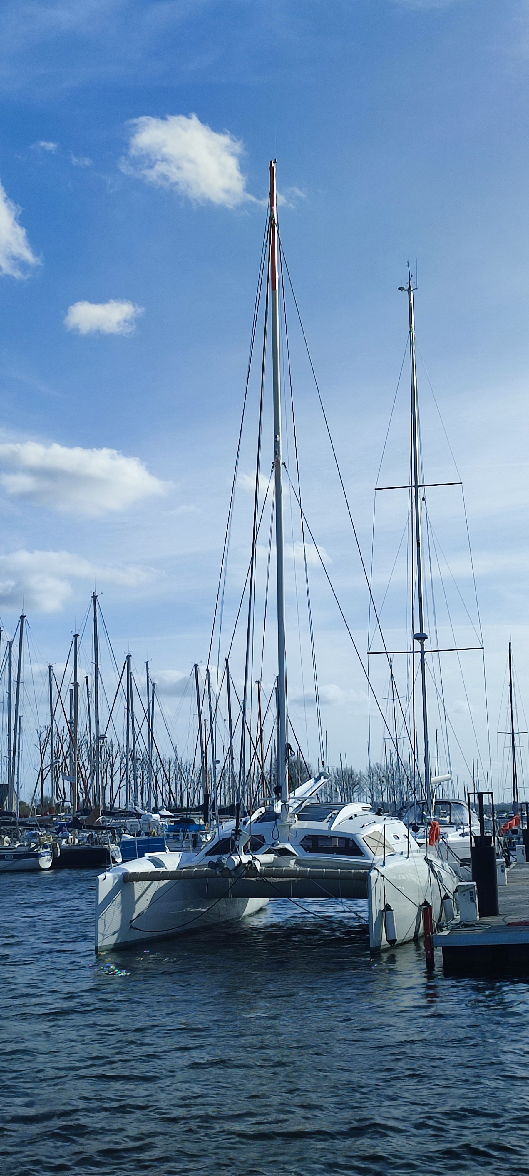 photo vente JUNO YACHTS&nbsp;JUNO 40 